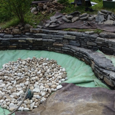 Double mur et étang fait avec François Weber mis en place pour la migration du carpeau accoucheur dans la région du pied du Jura