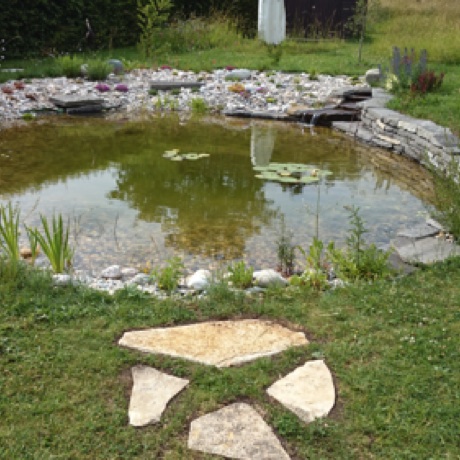Biotope conçu par François Weber avec muret sec en pierres naturelles, cascade et circulation d'eau en circuit fermé, trop-plein alimentant un petit bassin en pierre taillée Biotope conçu par François Weber avec muret sec en pierres naturelles, cascade et circulation d'eau en circuit fermé, trop-plein alimentant un petit bassin en pierre taillée